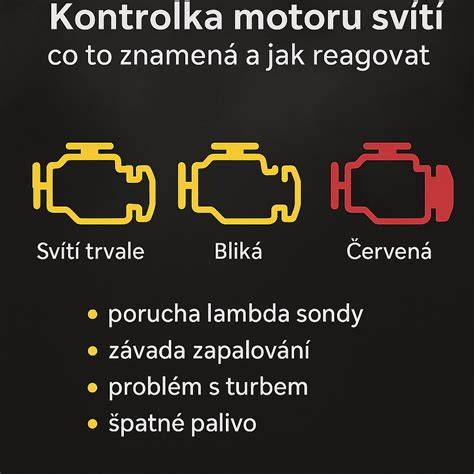 Infografika: Jak funguje zimní start motoru a proč se olej stahuje do vany
