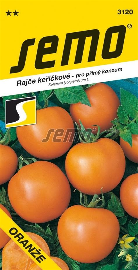 tykev Sprinter F1 rostlina v zahradě