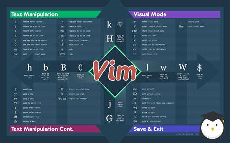infografika prošlý systém VIM