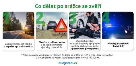 Schéma postupu po srážce se zvěří: zastavit, označit, zavolat