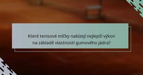 Infografika: Výčet hlavních druhů gumových dílů karoserie a jejich umístění na voze