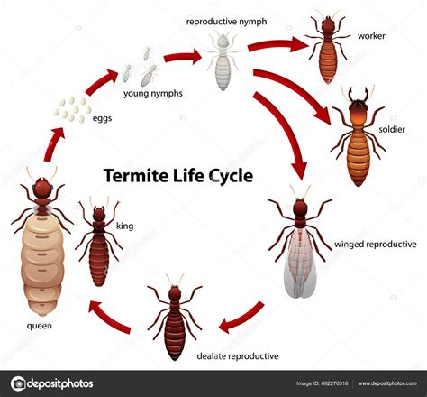 Ilustrace znázorňující frustrovaného řidiče snažícího se nastavit navigaci v cizím jazyce.