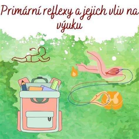Infografika: Části spojkového systému a jejich vliv na chod