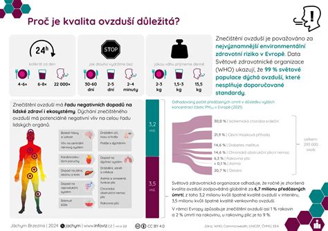 Infografika: Jak funguje a proč je důležitá dezinfekce autoklimatizace