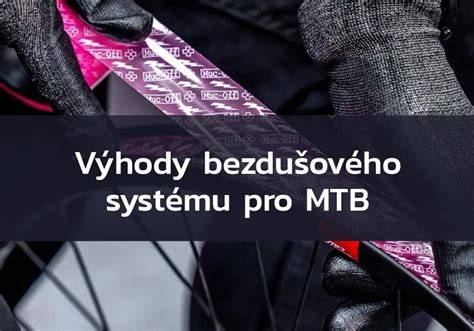 Graf porovnání výhod a nevýhod bezdušového systému