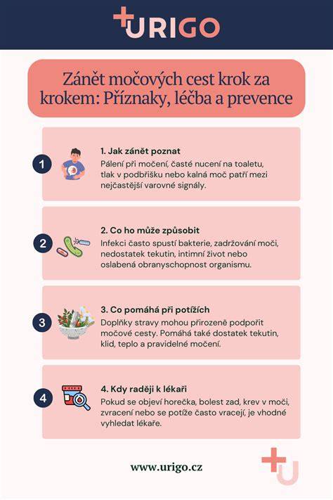 Infografika: Jak poznat hloubku poškození laku a odhad rozsahu opravy