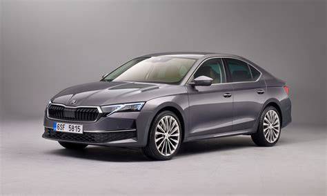 images/black-roof-on-white-octavia.jpg