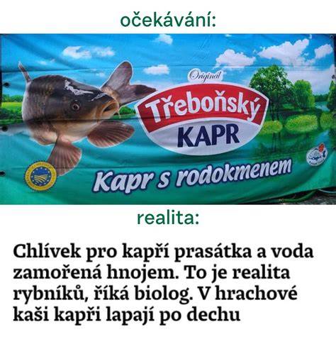 Hlášky Most! na reklamních předmětech a plakátech