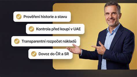 Infografika: průběh nákupu ojetého vozu - od výběru po servis