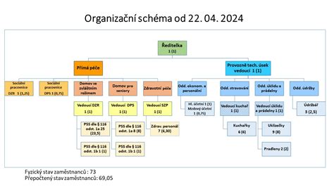 Schéma organizační struktury Toyota Professional s vyznačenými službami.