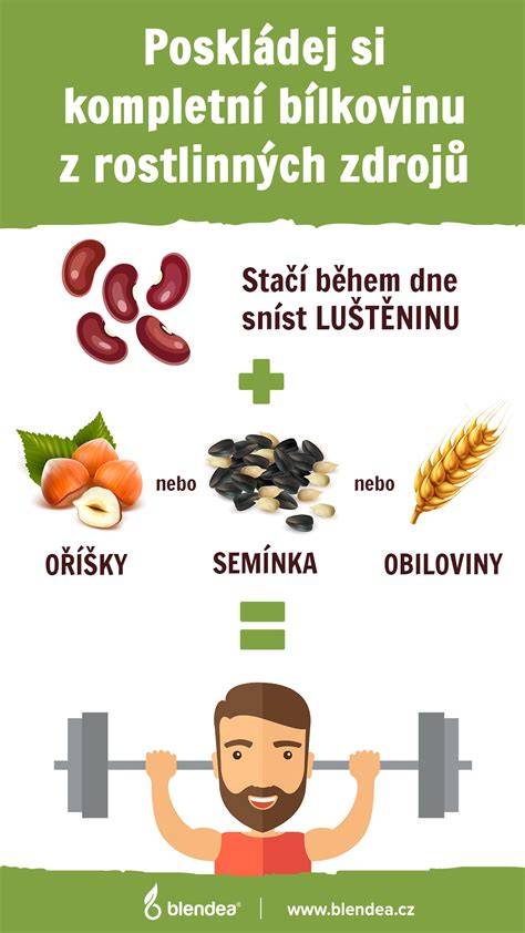 Infografika: Srovnání zdrojů bílkovin ve Combat Powder a syrovátkových proteinech