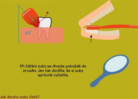 Infografika: Správná technika čištění interiéru Volvo
