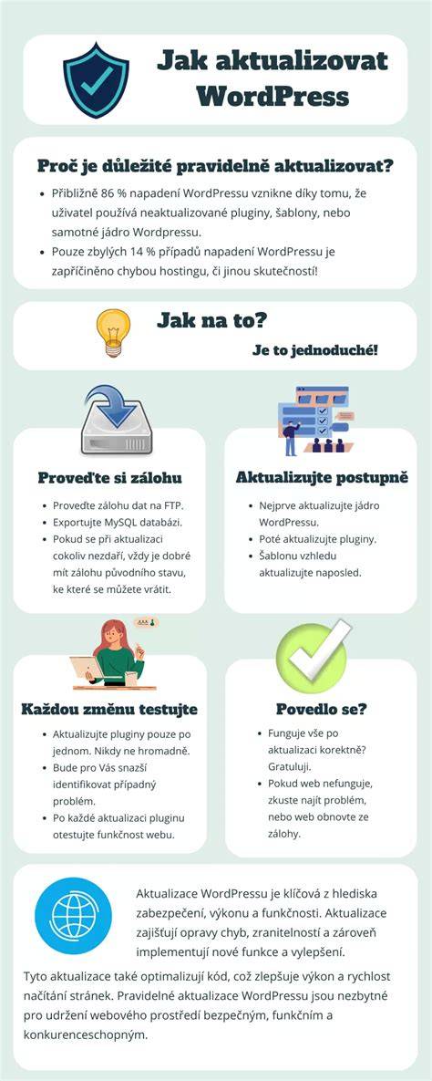 Infografika: Schéma dochlazovacího okruhu a možné závady