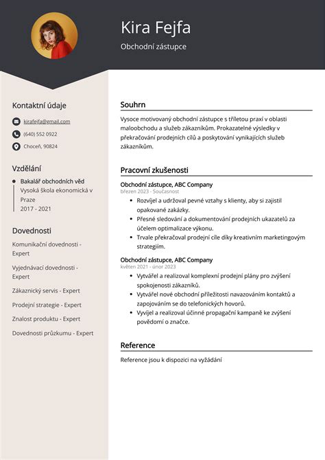 Infografika znázorňující klíčové dovednosti obchodního zástupce