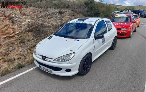 Obrázek: Peugeot 206 ve verzi GTi/RC na závodním okruhu