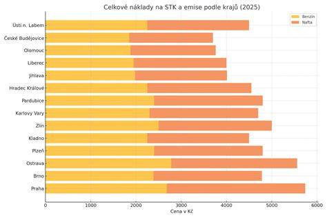 Infografika procesu STK: kroky před STK, během STK a po STK