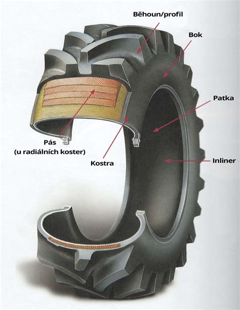 Infografika: Vnitřní struktura pneumatiky - koruna, rameno, bok, patka