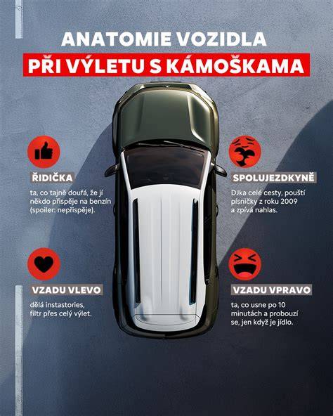 Infografika: Skladba systémů Citroën pro dodávky a kdo je diagnostikuje