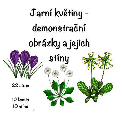 Stíny štítů po úpravě a jejich vzájemné usazení
