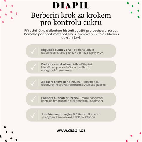 Infografika: Krok za krokem průběh STK a co se kontroluje