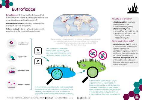 Infografika: Jak probíhá instalace autofólií a co vše zahrnuje homologace