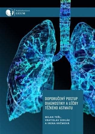 Infografika: Přehled činností automechanika a postup diagnostiky