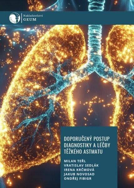 infografika-postup-diagnostiky-tempomatu