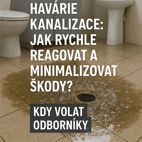 Infografika: Rozdíl havárie vs. vandalismus a kdy volat policii