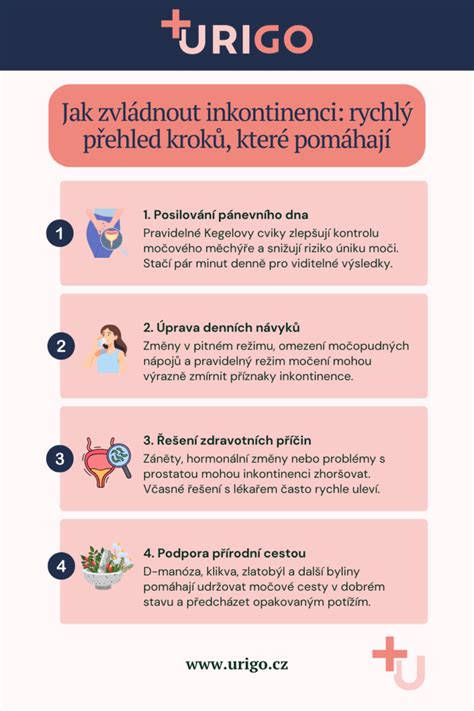 Infografika: Garanční prohlídka krok za krokem