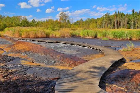 Křemelinový štít v národní přírodní rezervaci Soos