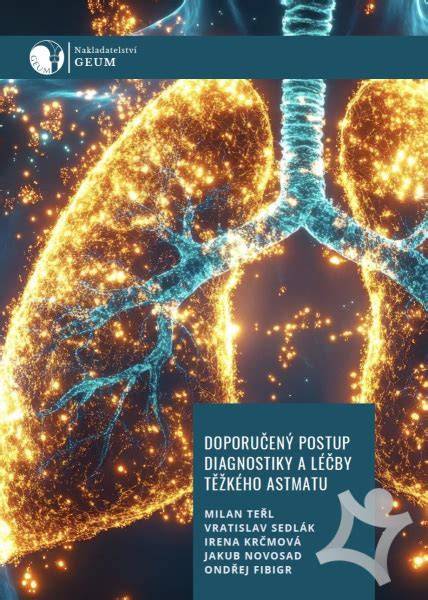 infografika: kontrolní postup diagnostiky dieselového motoru (kroky: vyčtení chyb, měření napětí, kontrola vstřiků, kontrola DPF, vizuální kontrola výfuku)