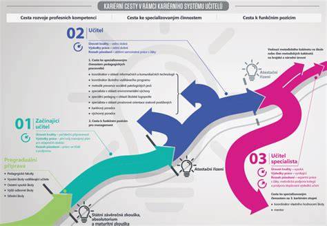 Infografika: Rozdělení produktových řad MITAS