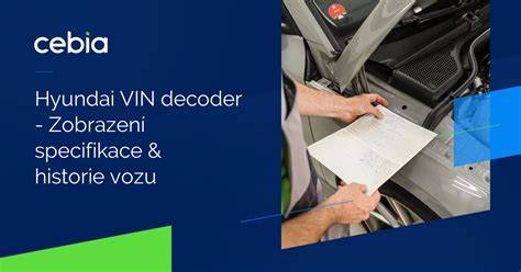 Infografika: VIN kód a kontrola historie vozu (Cebia)