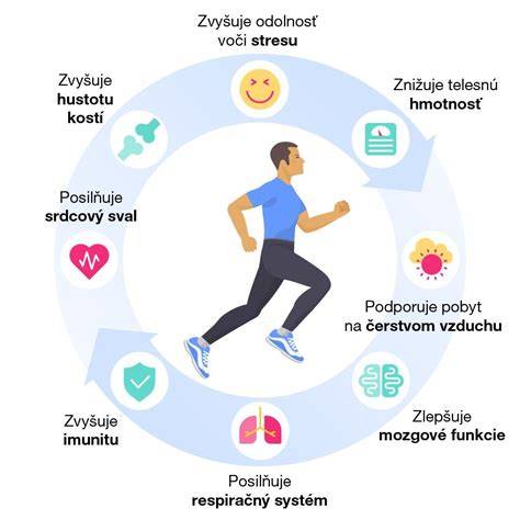 Infografika: Pravidla pro pohyb koní a kočárů na silnicích