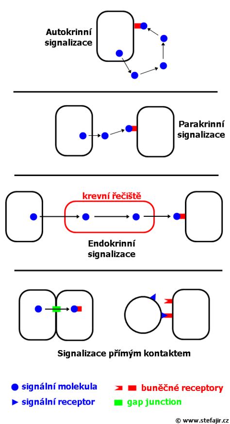 Schéma procesu poptávky a nákupu náhradního dílu