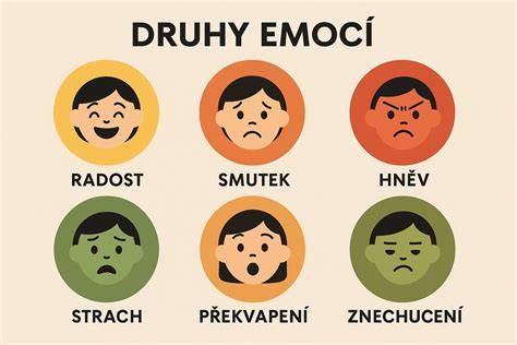 Infografika ukazující typická umístění spínacích jednotek a čidel zpátečky na Opel Vivaro a souvisejících verzích