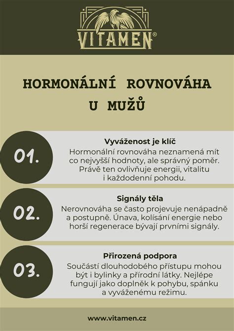 Infografika: Krok za krokem při kontrole havarovaného Hiluxu, stav rámu, motor, náhradní díly, náklady na opravy a celková hodnota vozu.