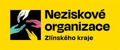 Infografika: postupy při přestavbách aut pro neziskové organizace a transparentnost faktur