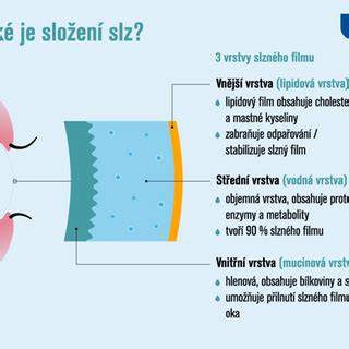 Infografika: struktura postav a vztahy ve filmu