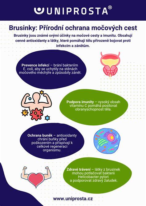Infografika: Cesty ke zvýšení vytížení vozidel a klíčové ukazatele