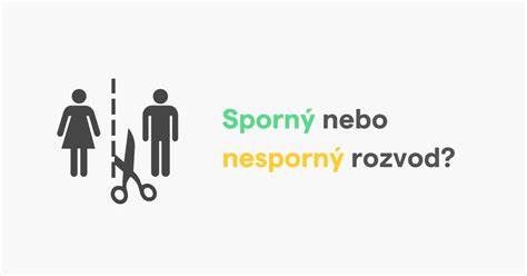 Infografika: Typy autonabíječek a jejich hlavní výhody a nevýhody