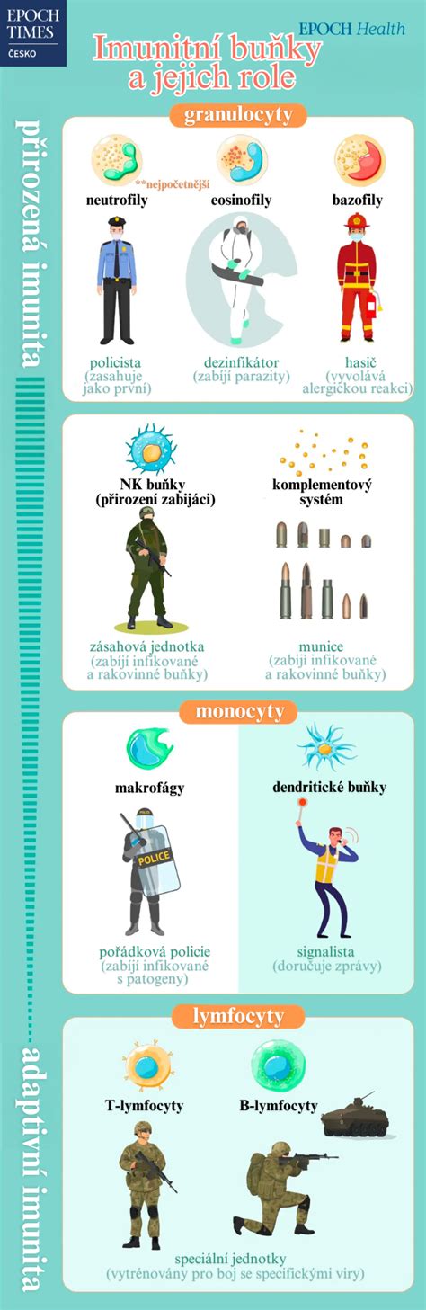 Infografika: Průřez systémem PowerBomb a Bomb technologie