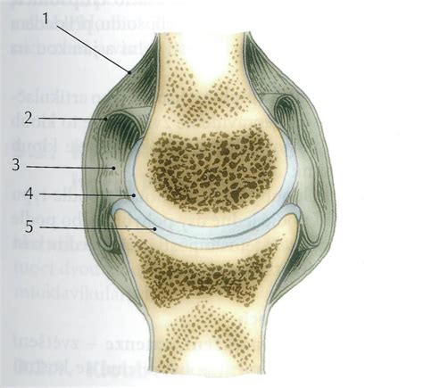 Schéma axiálního kloubu řízení s vyznačenými rozměry a závity.