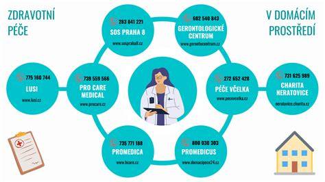 Infografika: Přehled servisních služeb a diagnostických kroků