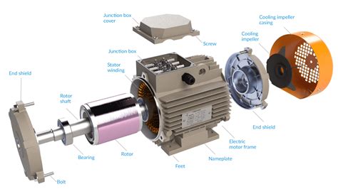 Ilustrace kompaktního asynchronního elektromotoru s převodovkou pro gril