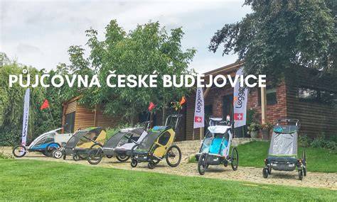 Infografika: Jak funguje půjčovna vozíků pro psy za kolo