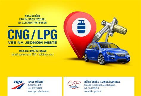 Infografika: Komplexní služby pneuservisu a autoservisu na jednom místě