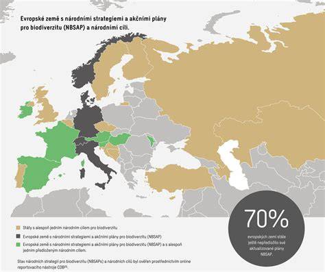 Infografika: Přehled typů přeprav a typických cest v rámci evropské dopravy