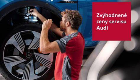 Fotografie ukázek realizací servisu Audi