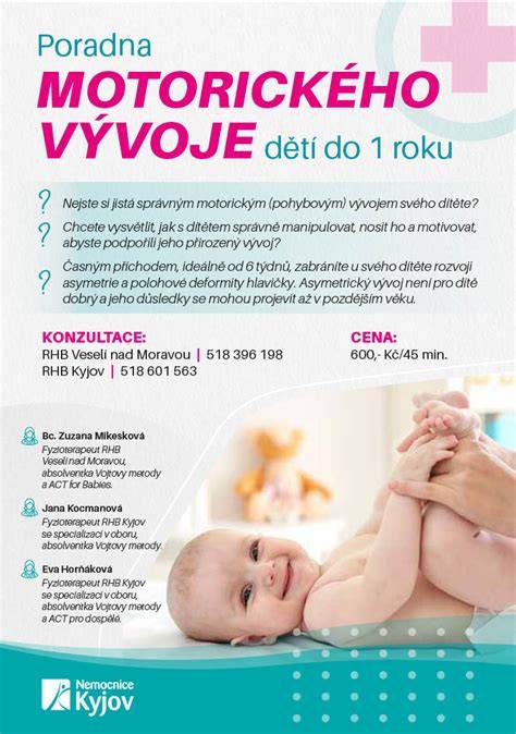 Schéma motorického vývoje kojence (přehled 3,6,9,12 měsíců)